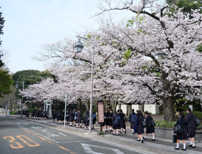 新年度が始まりました