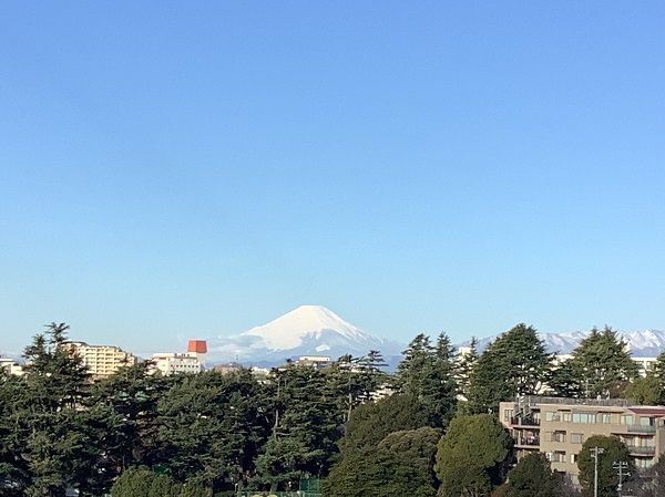丹沢の山にも白い雪