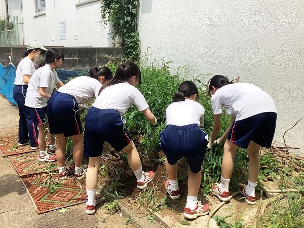中２総合「たい肥化」