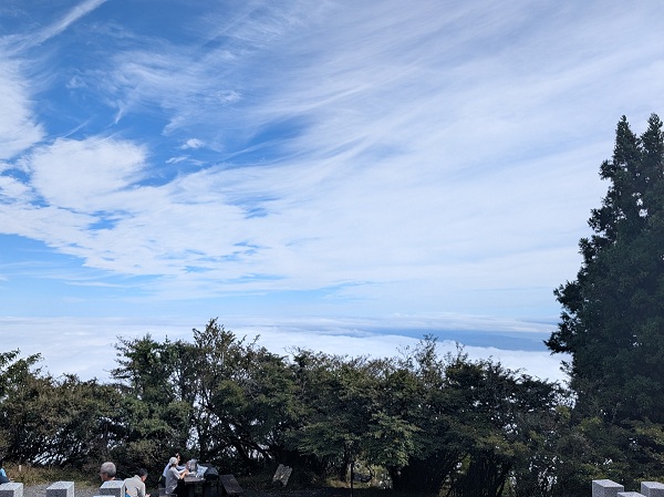 自然が減ってきた今