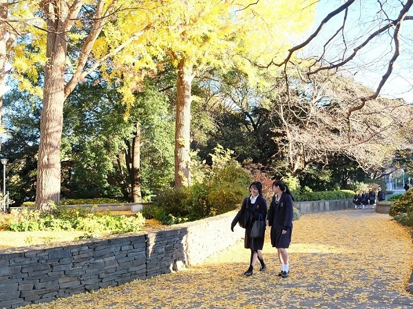 今日のひとコマ