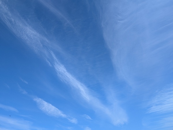 新年にあたって