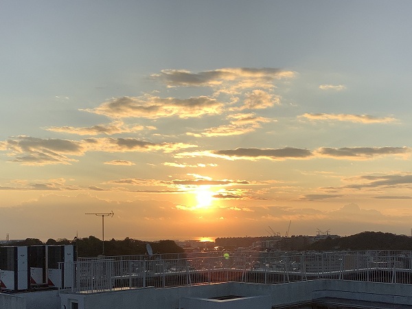 いろいろな1月17日、祈りの日